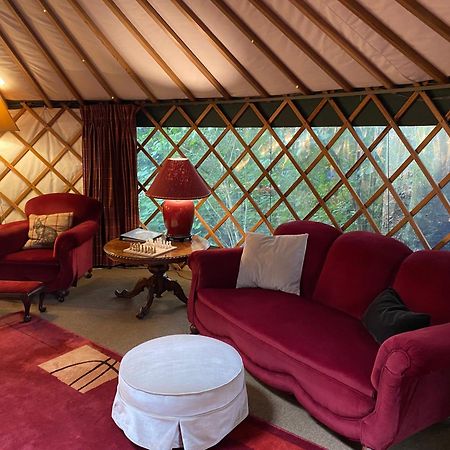 Nikau Sanctuary Hotel Raglan Ngoại thất bức ảnh