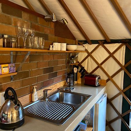 Nikau Sanctuary Hotel Raglan Ngoại thất bức ảnh